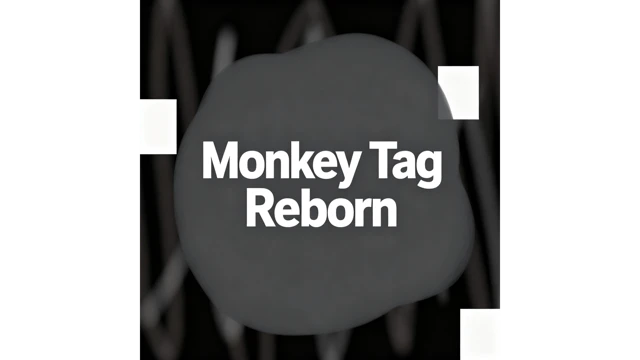 Monkey Tag Reborn cover