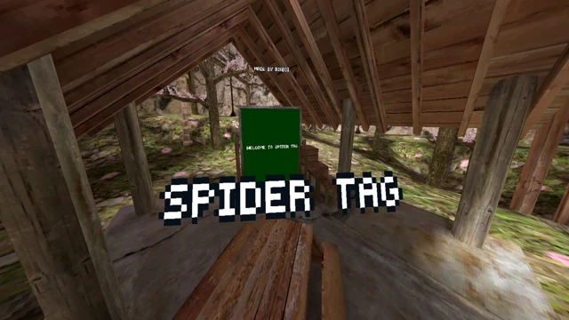 Spider Tag cover