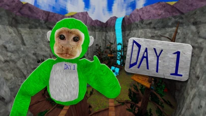 Day1Bundle cover