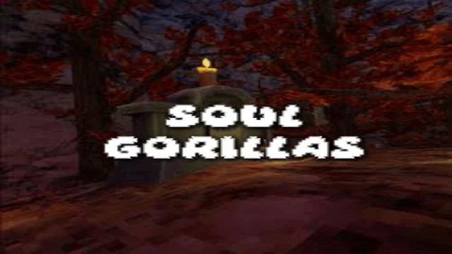Soul Gorillas cover