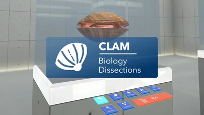 Clam Dissection Add-on cover