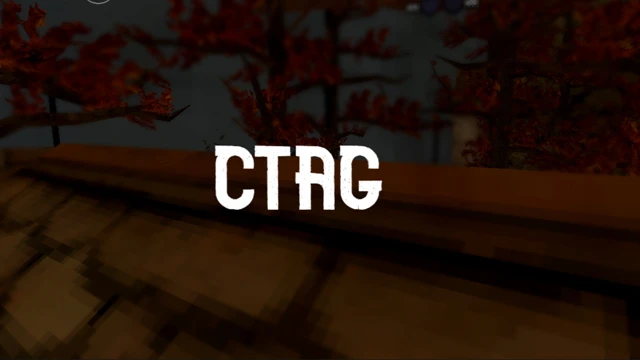 CTAG cover
