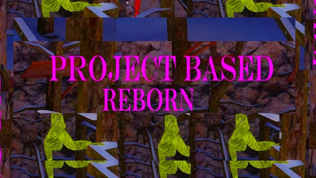 Project Based: Reborn cover