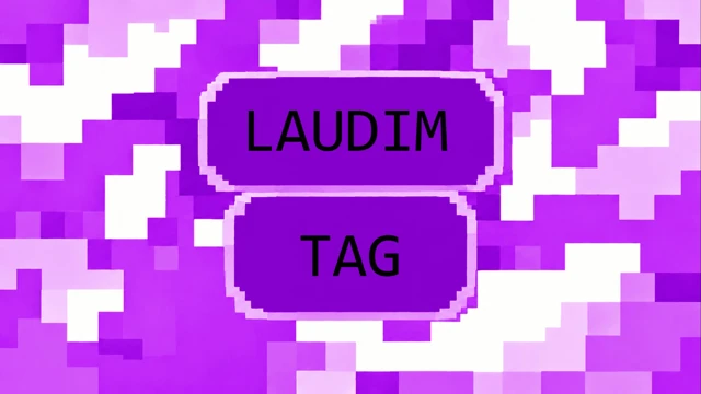 LAUDIM TAGGERS cover