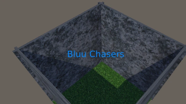Bluu Chasers cover