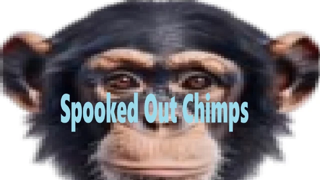 Spooked Out Chimps cover