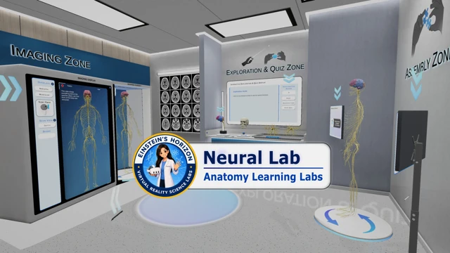 Anatomy Learning Labs: Neural Lab cover