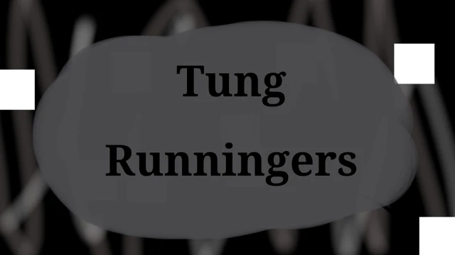 Tung Runningers cover