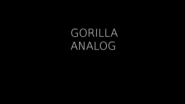 Gorilla Analog cover