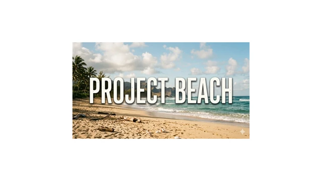 Project Beach cover