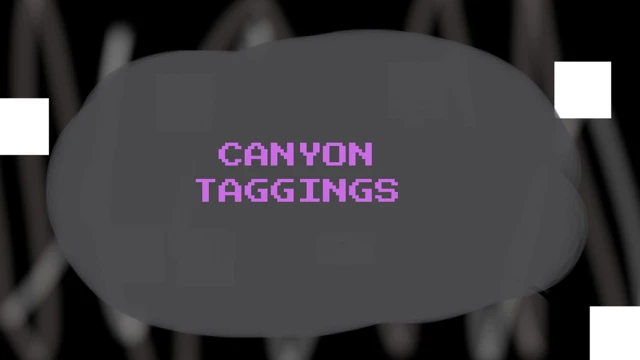 Canyon Taggings cover