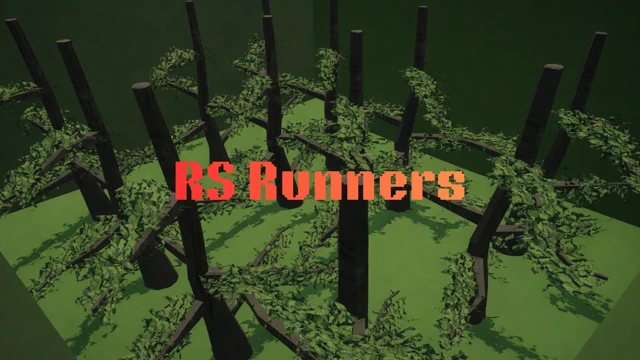 RS Runners cover