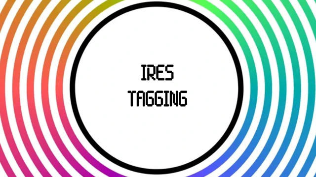 Ires Tagging cover