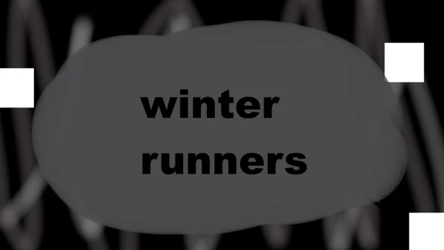 winter runners cover