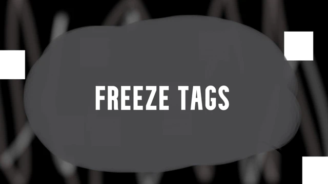 freeze tags cover