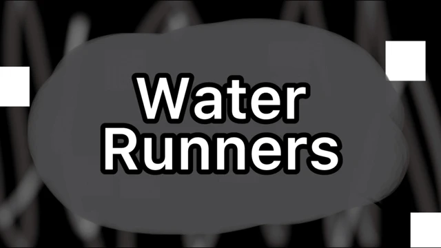 Water Runners cover