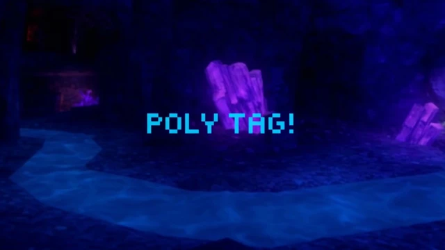 Poly Tag cover