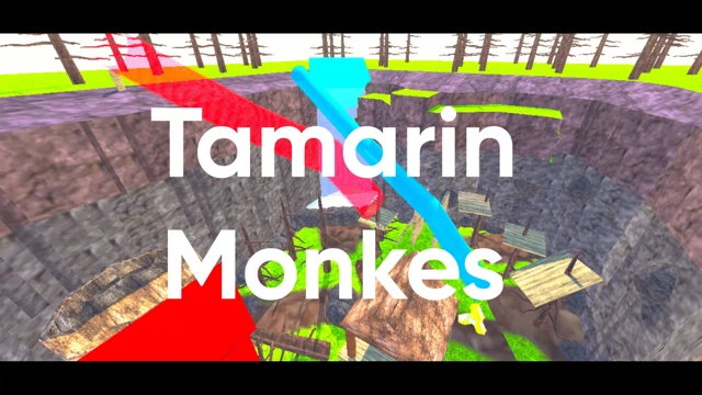 Tamarin Monkes cover