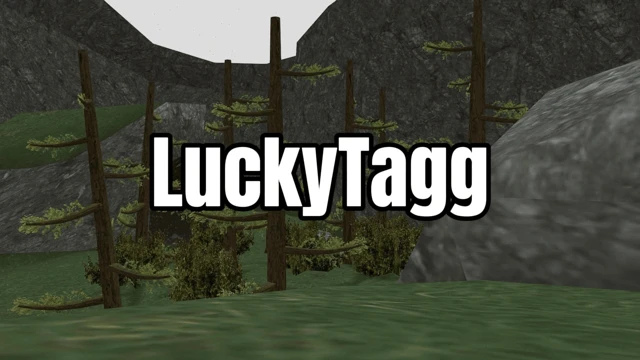 LuckyTagg cover