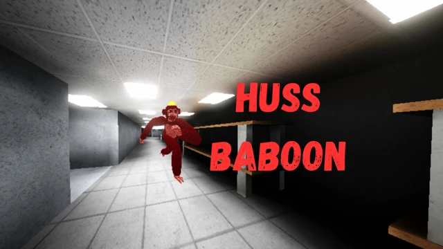 Huss Baboon cover