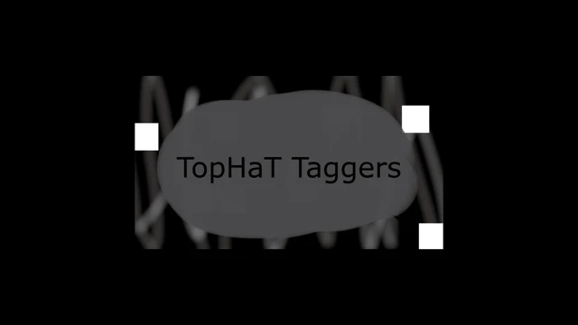 TopHat Taggers cover