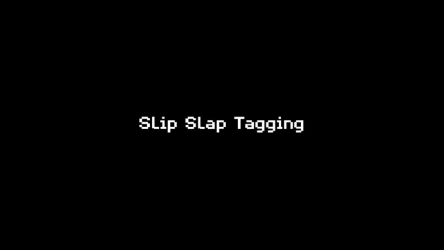 Slip Slap Tagging cover