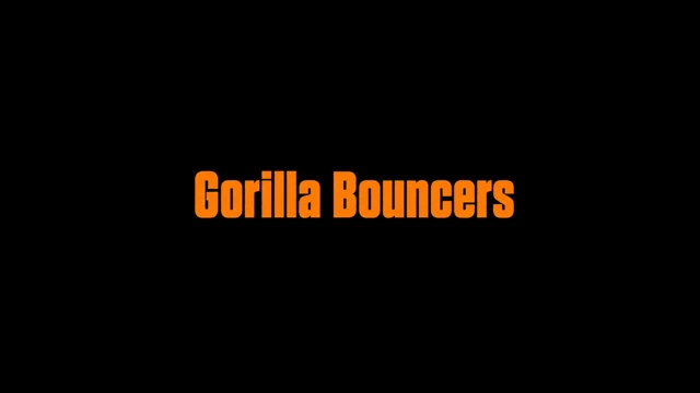 Gorilla Bouncers cover