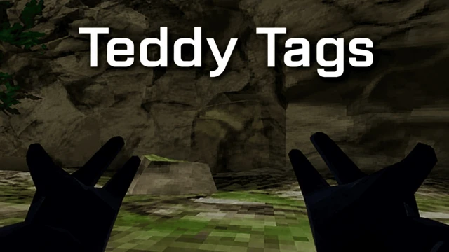 Teddy Tags cover
