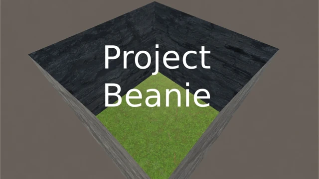 Project Beanie cover