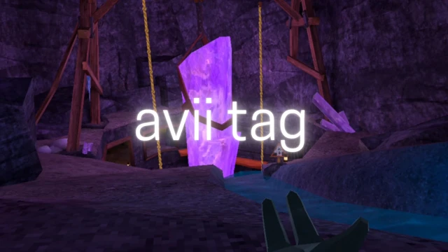 avii tag cover