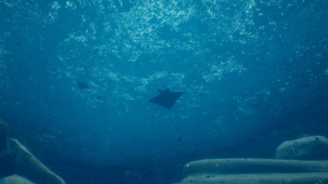 Marenostrum.VR cover