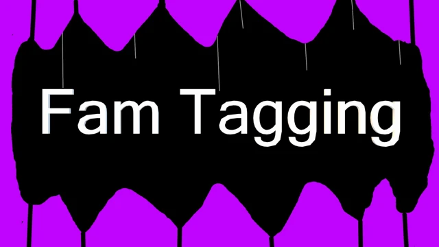 Fam Tagging cover