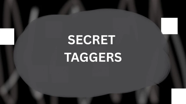 Secret Taggers cover