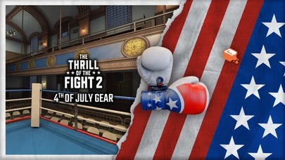 4th of July Gloves cover