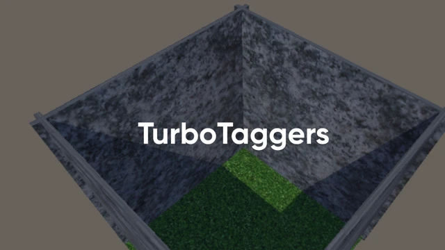 TurboTaggers cover
