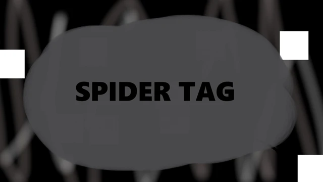 Spider‎‎ Tag cover