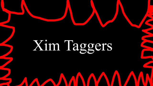 Xim Taggers cover
