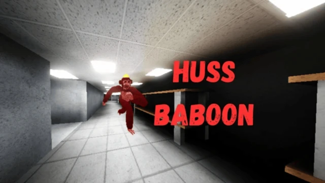Huss Baboon cover