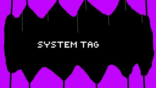 system tag cover