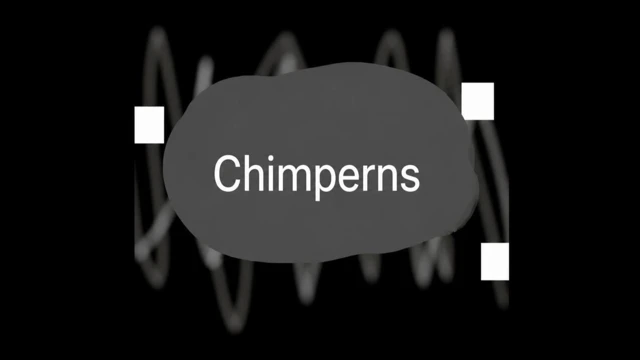 Chimperns cover
