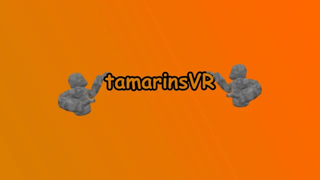 Tamarins VR cover