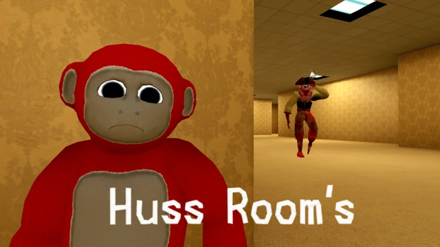 Huss  Room's cover