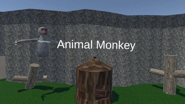 Animal Monkey cover