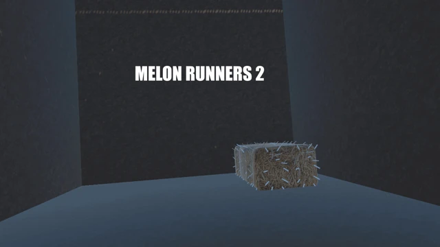 Melon Runners 2 cover