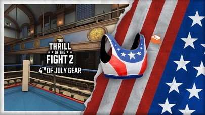 4th of July Top cover