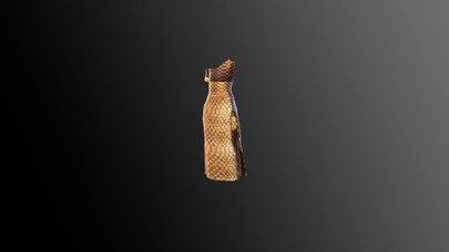 Golden Serpent Dress cover