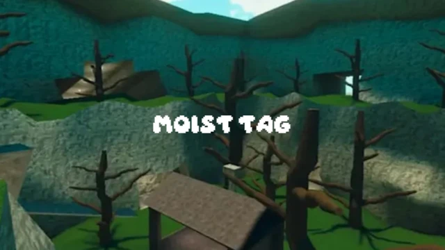 Moist Tag cover