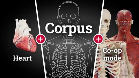 Corpus Anatomy - All in! cover