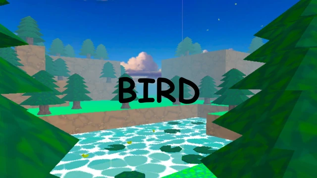 BIRD cover