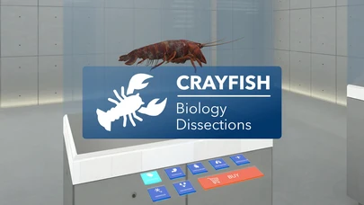 Crayfish Dissection Add-on cover